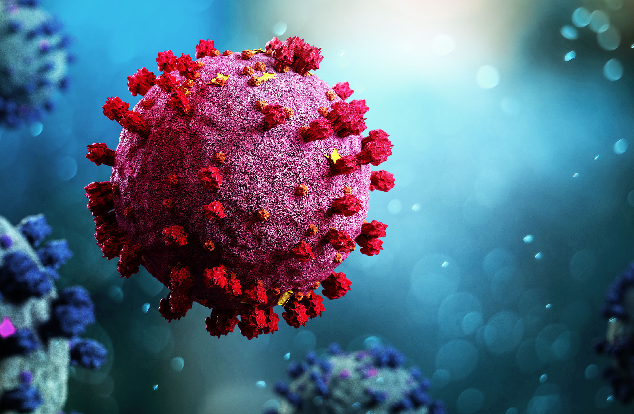 Artist's rendering of Coronavirus Covid-19.