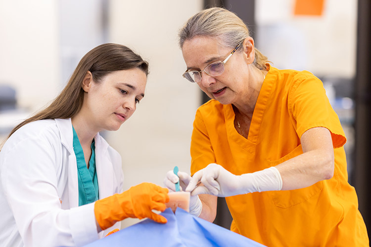 Dr. Karen Tobias trains veterinary surgical residents in the ala vestibuloplasty technique for brachycephalic dogs using 3D-printed nasal facsimiles in the simulation lab of the Pendergrass Library at the University of Tennessee College of Veterinary Medicine.