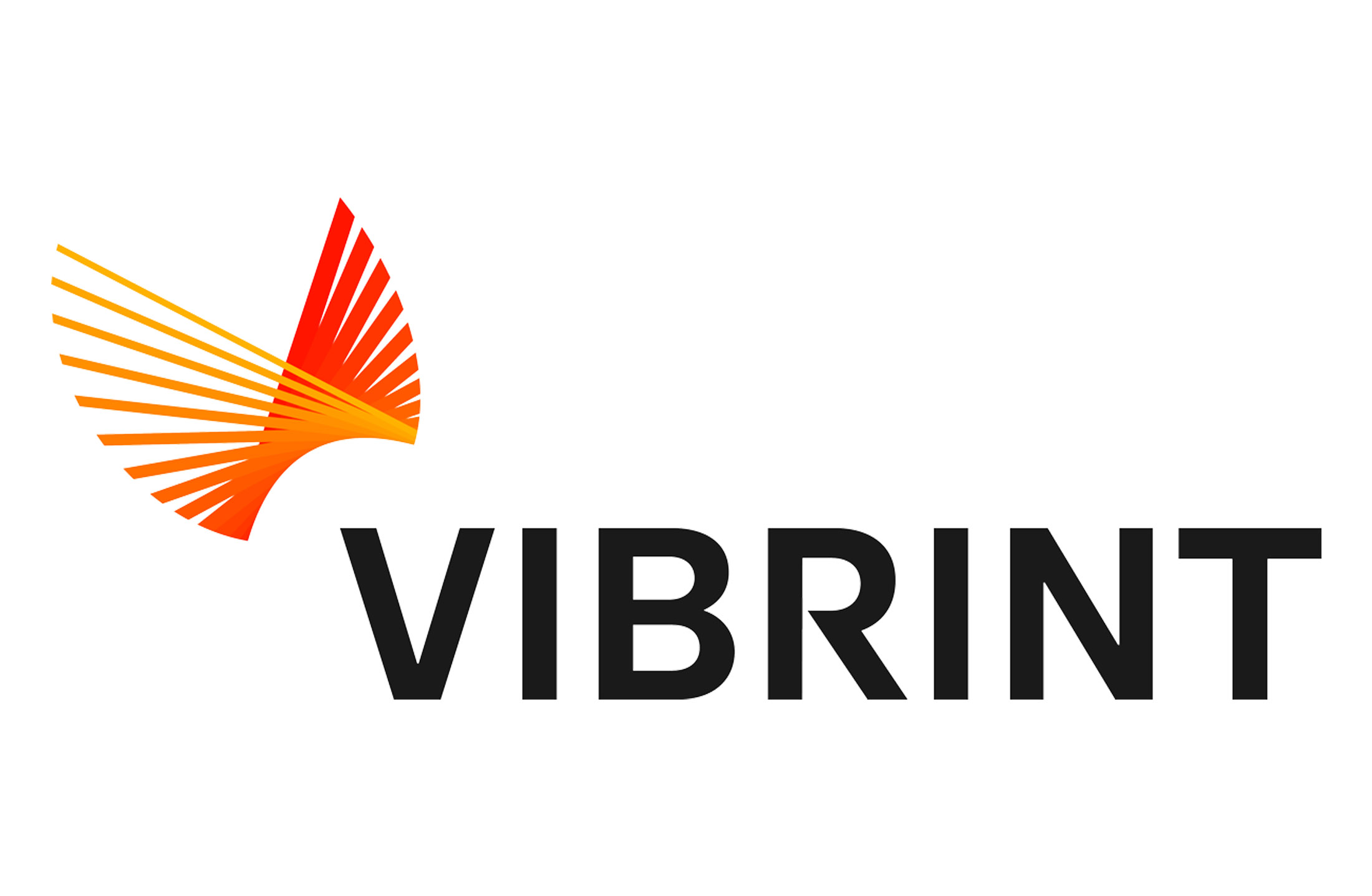Vibrint logo against a white background.
