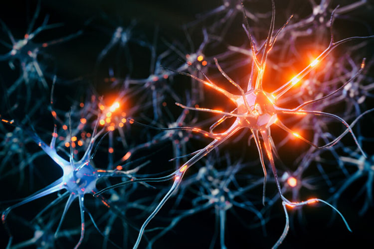 Neuron cells system disease - 3d rendered image of Neuron cell network on black