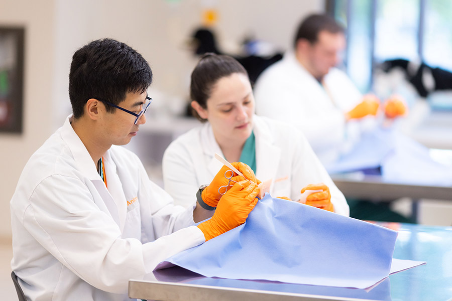 Veterinary surgical residents practice in a simulation lab at the University of Tennessee.