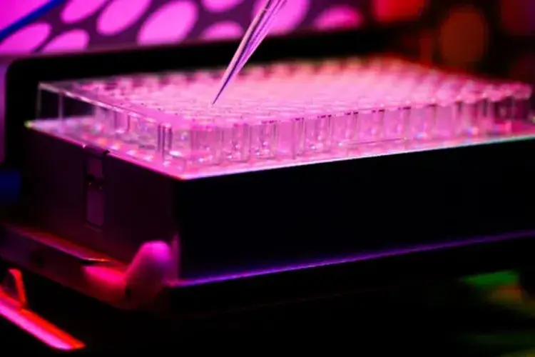 A researcher fills test tubes in a lab at UT.