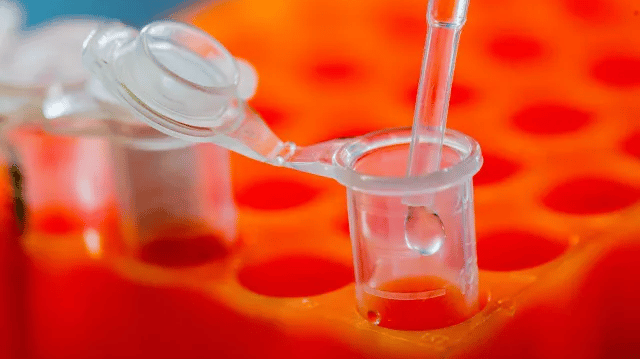 Close up image of saliva being piped into a testing tube.