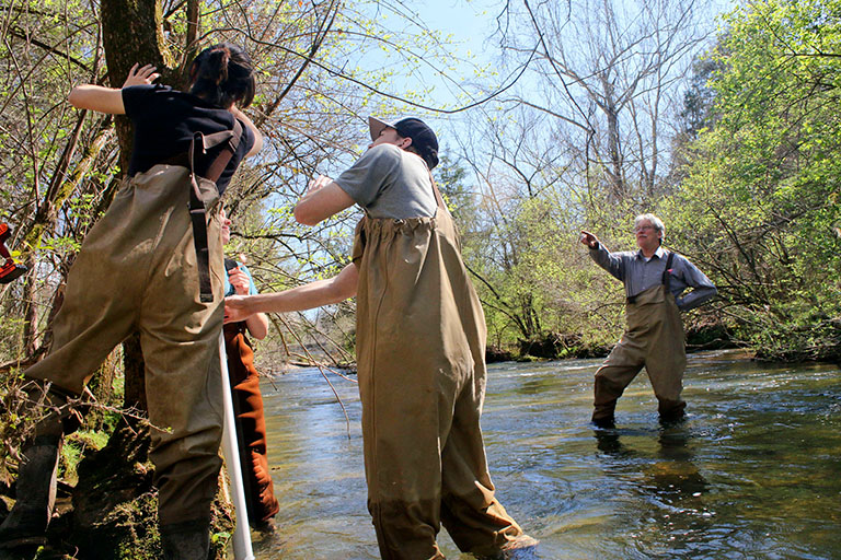 John Schwartz stands in a shallow creek directing students in their research.
