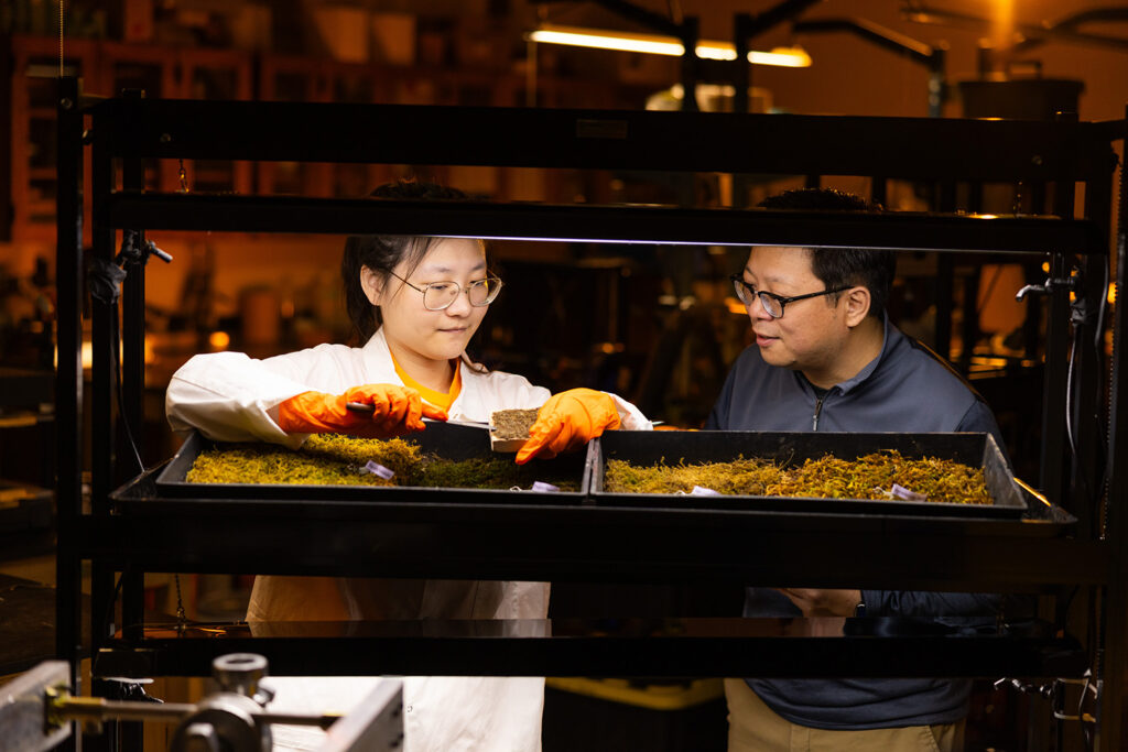 Nick Zhou and a graduate student examine moss samples in a lab.
