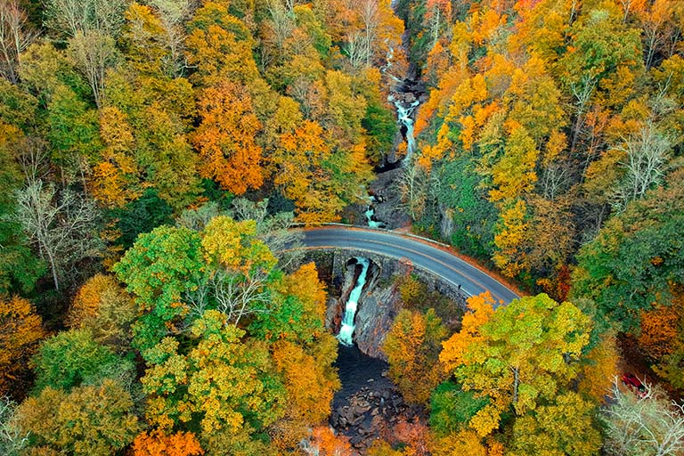 Birds-eye view of trees in the Smoky Mountains with fall-colored leaves.