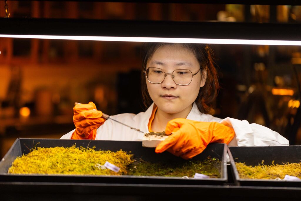 A student collects a sample of moss in Nick Zhou's lab.