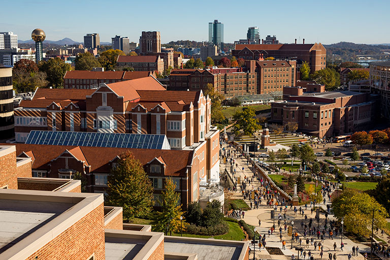 Aerial view of campus from the top of Hodges Library.