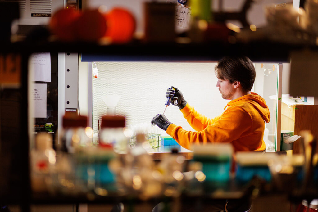 A graduate student wearing an orange  UT hoodie prepares a marine microbiology sample.