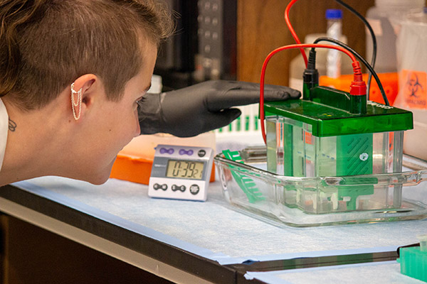 Working on an experiment in a microbiology lab at the University of Tennessee.