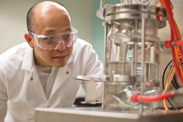 Fellow in Chemical Engineering Cong Trinh working with laboratory equipment.
