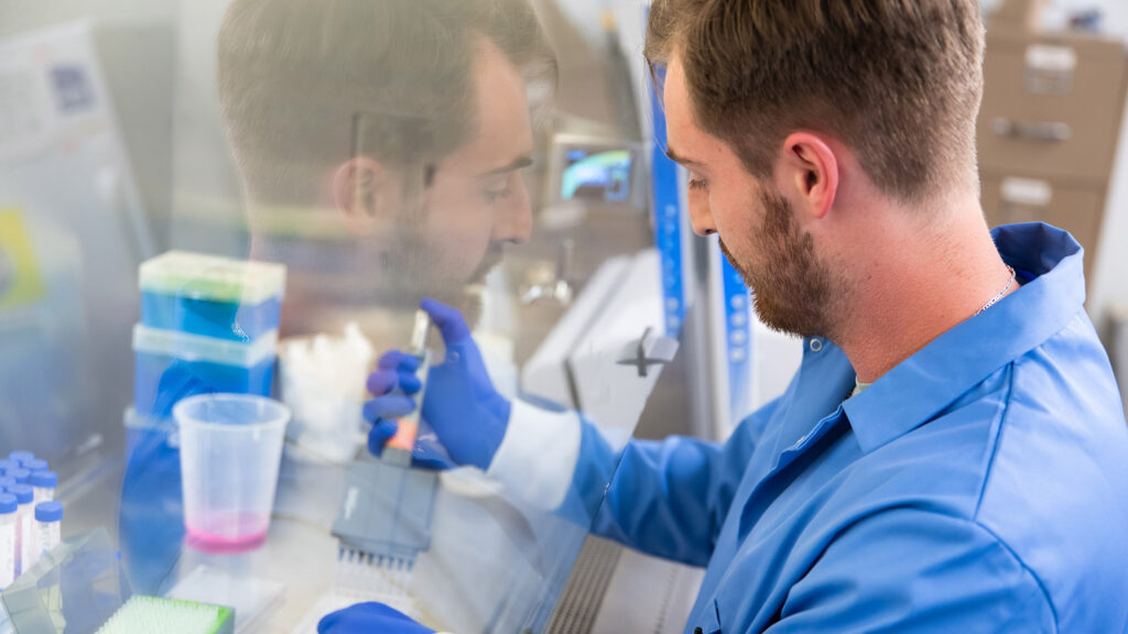 A graduate student works under a sterile hood in a Senter Hall lab at the University of Tennessee.