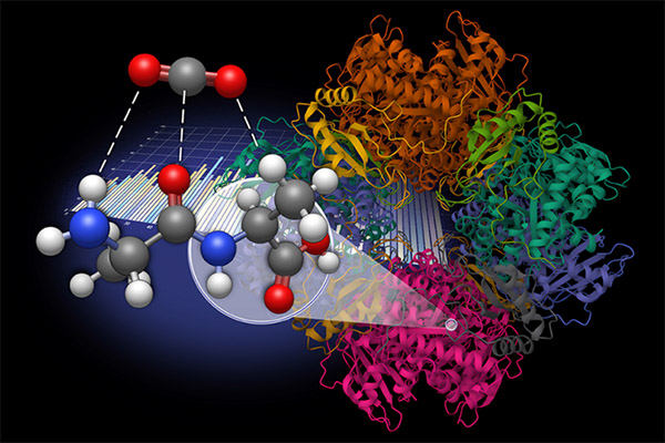 Image of University of Tennessee, Knoxville Associate Professor Konstantinos Vogiatzis' research that appeared on the cover of ChemPhysChem.