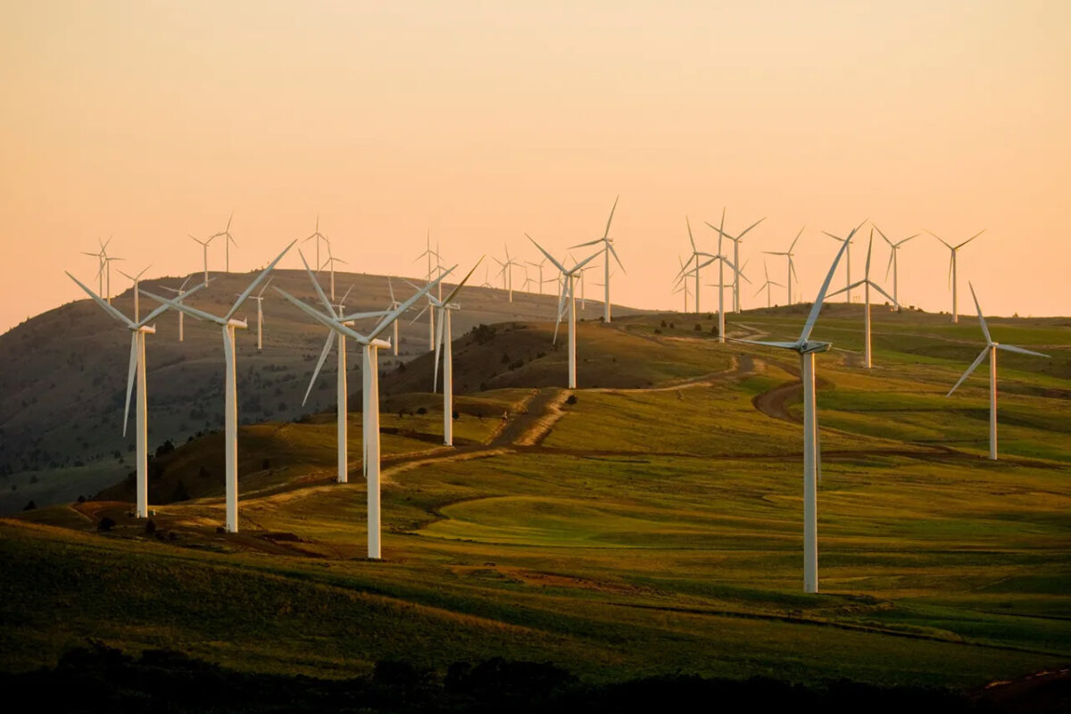 Photo of a windmill farm at daybreak.