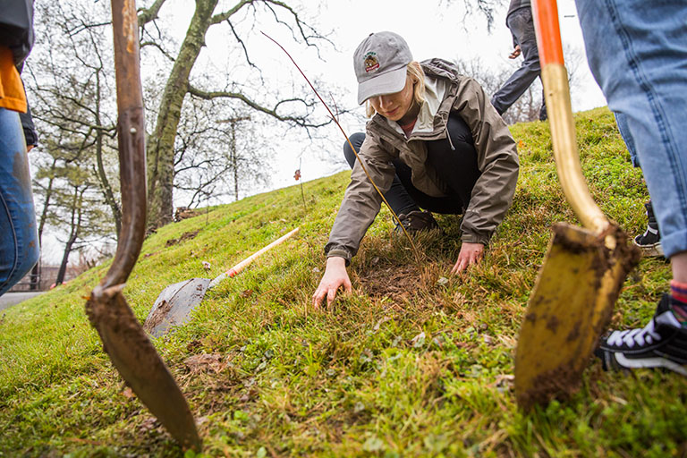 Students plant trees on a hill.