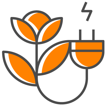 Illustration of a plant with several leaves and a plug growing from its root.