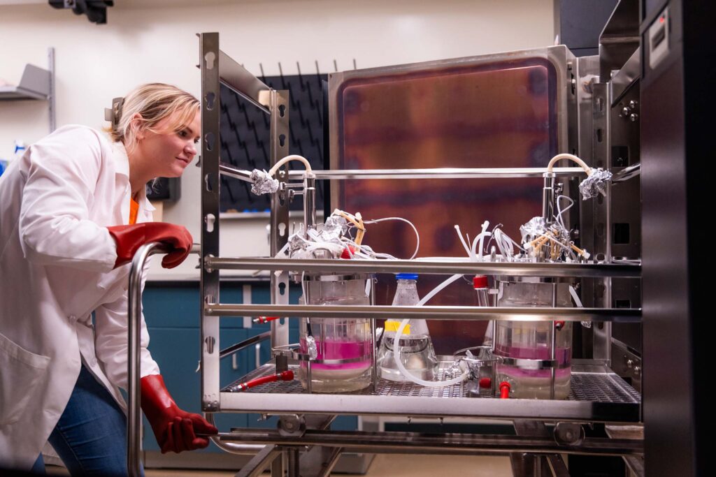 Carrie Sanford removes several beakers, tubes, and other equipment from an autoclave.