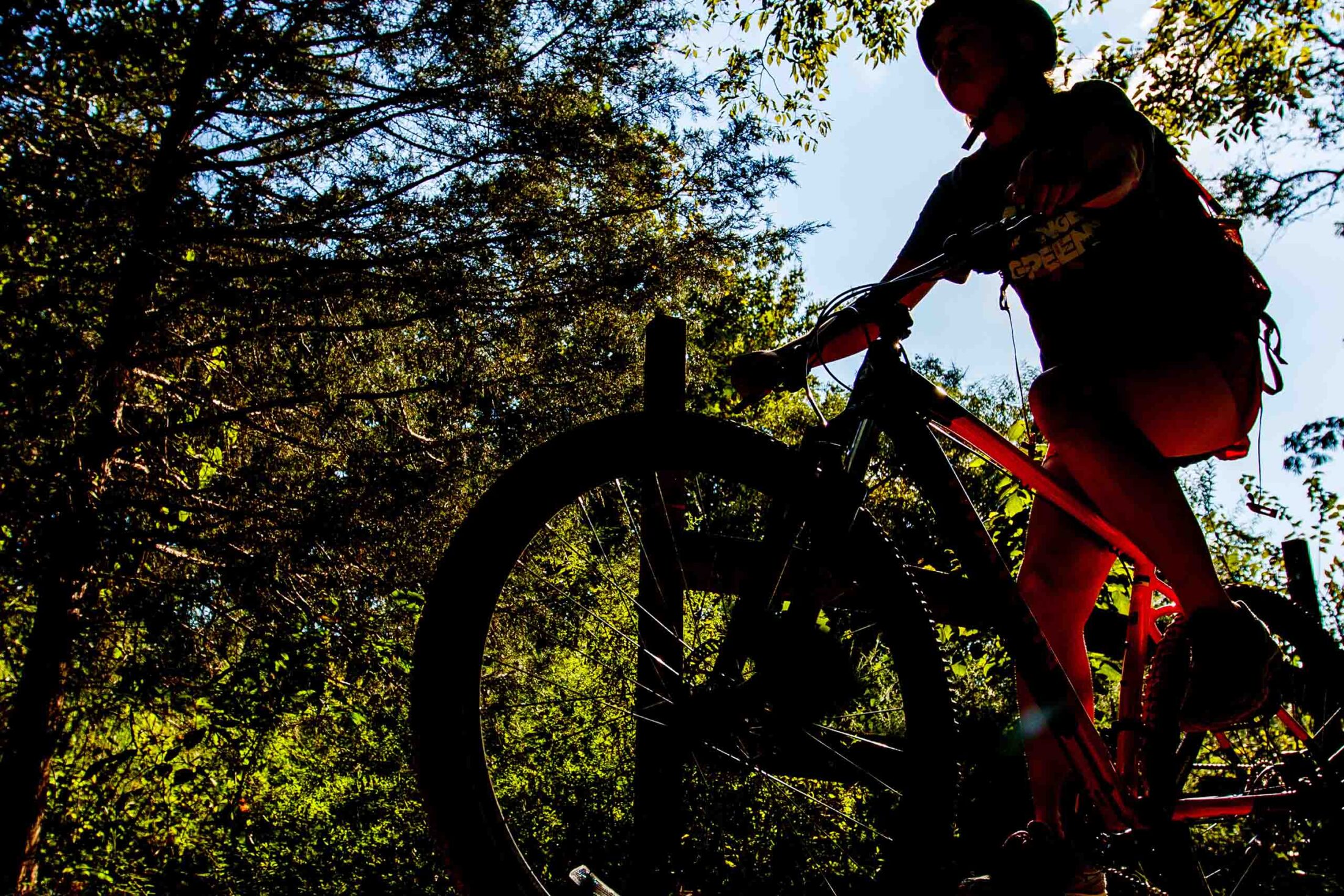 A woman rides a mountain bike in a forested area.