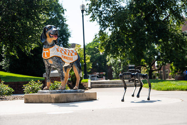 Wakling a robot dog with LiDAR sensors near the Smokey statue near Ayres Hall on the University of Tennessee campus.