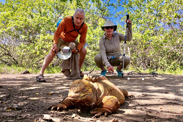 Photograph of 2 men with large reptile on path, Galapagos Islands
