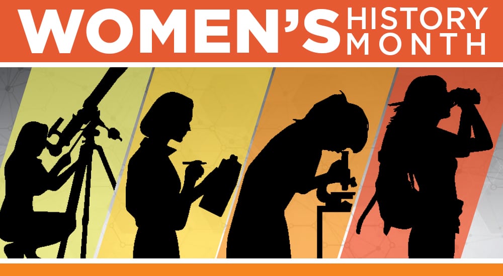 silhouette of women, doing research