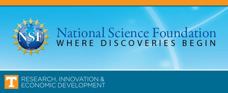 National Science Foundation Award