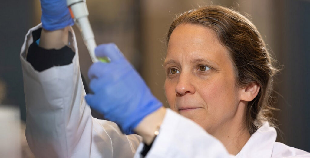 Rachel Patton McCord, associate professor of biochemistry and cellular and molecular biology at the University of Tennessee, Knoxville, conducts research in a lab.