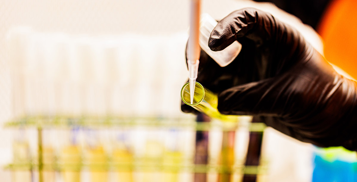 A student works with samples in test tubes under a fume hood in a marine microbiology lab at the University of Tennessee.