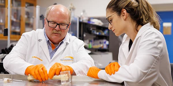Two researchers in lab coats and orange gloves examine a bone specimen in a laboratory.