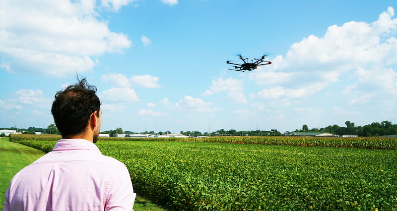 Person operating agricultural drone hovering over green crop field