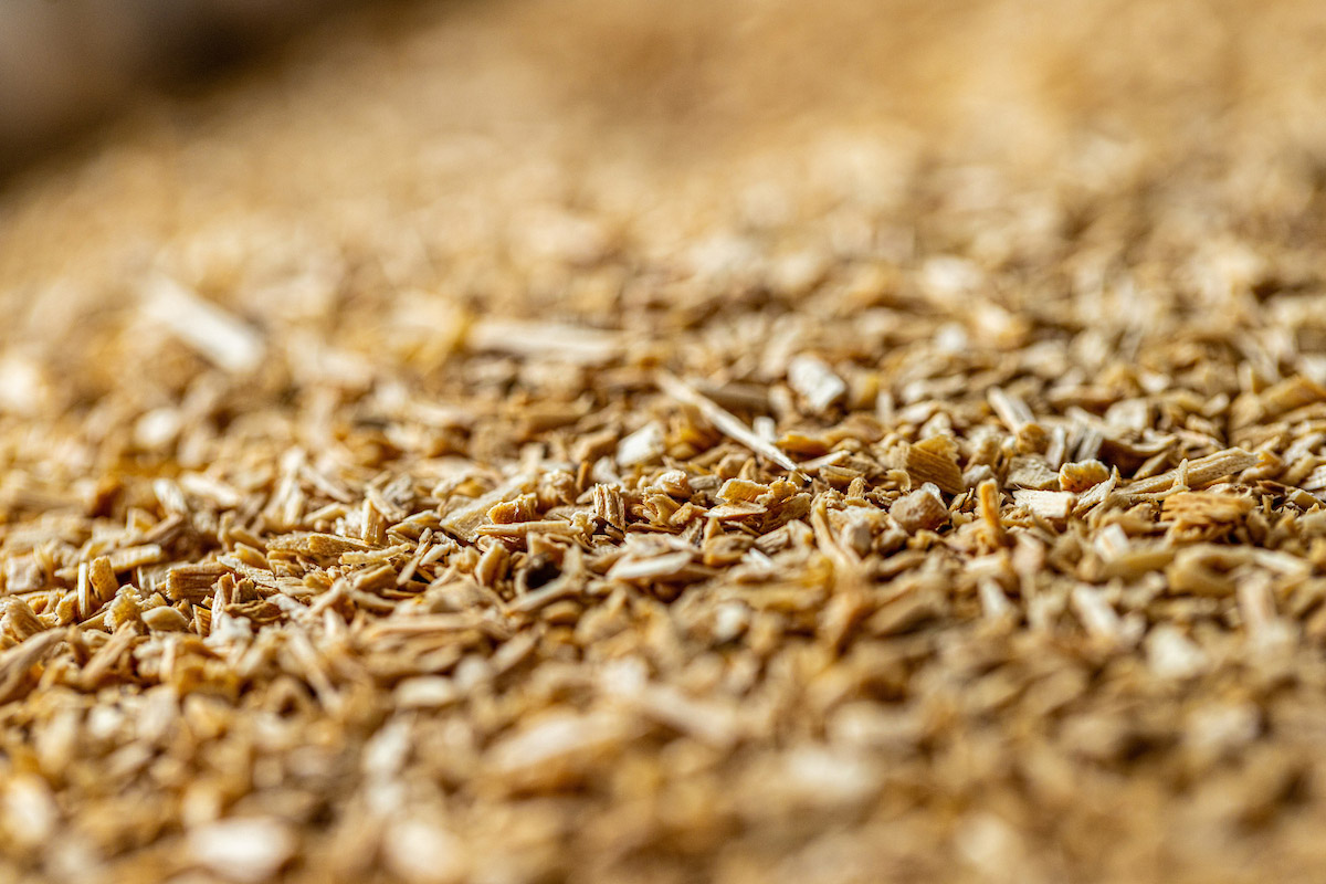 A detail image of poplar sawdust samples in the Bioenergy and Biofuels Lab on the Ag campus